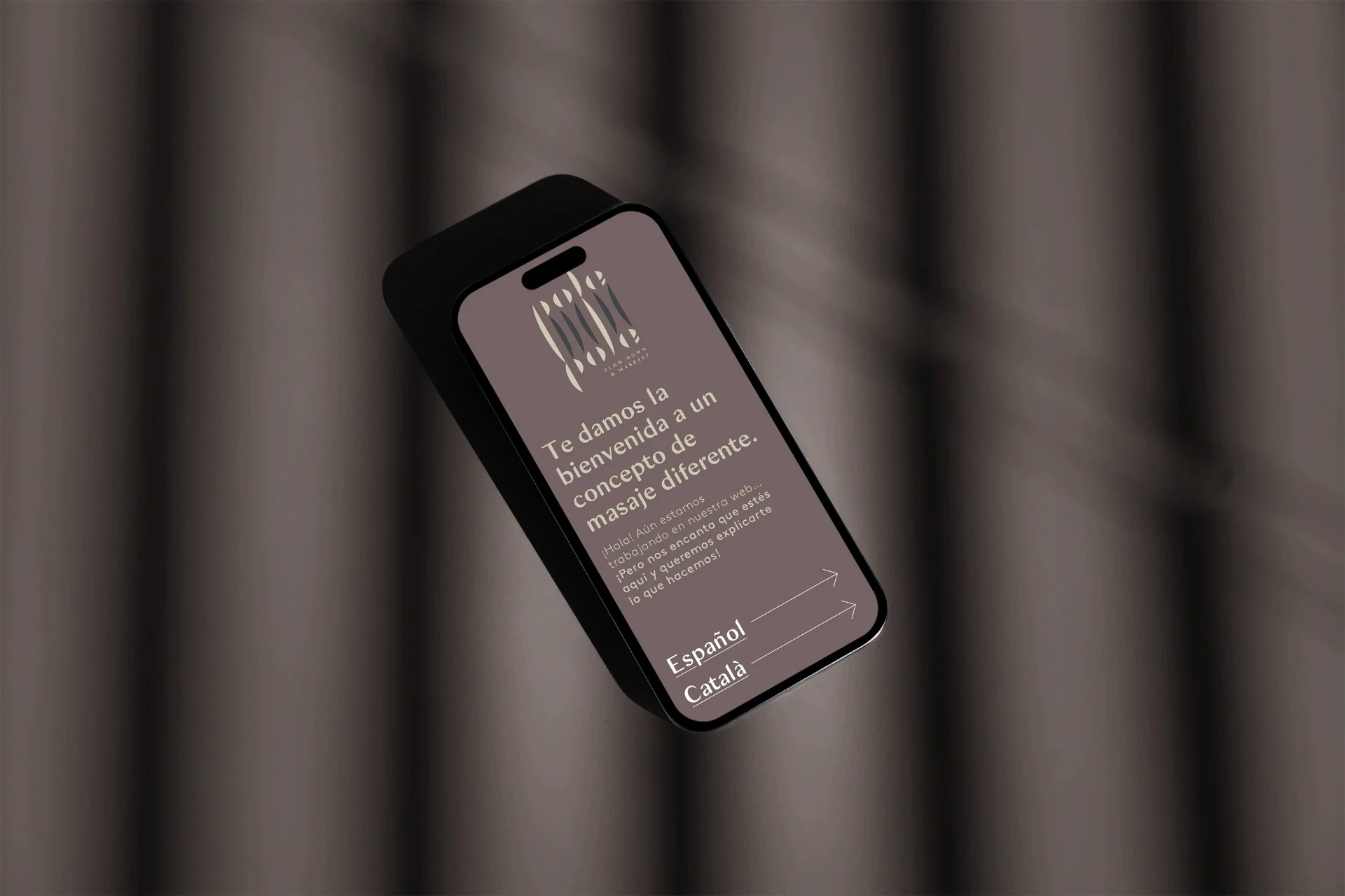 Freelance graphic designer Barcelona: Brand identity, logo design on phone.