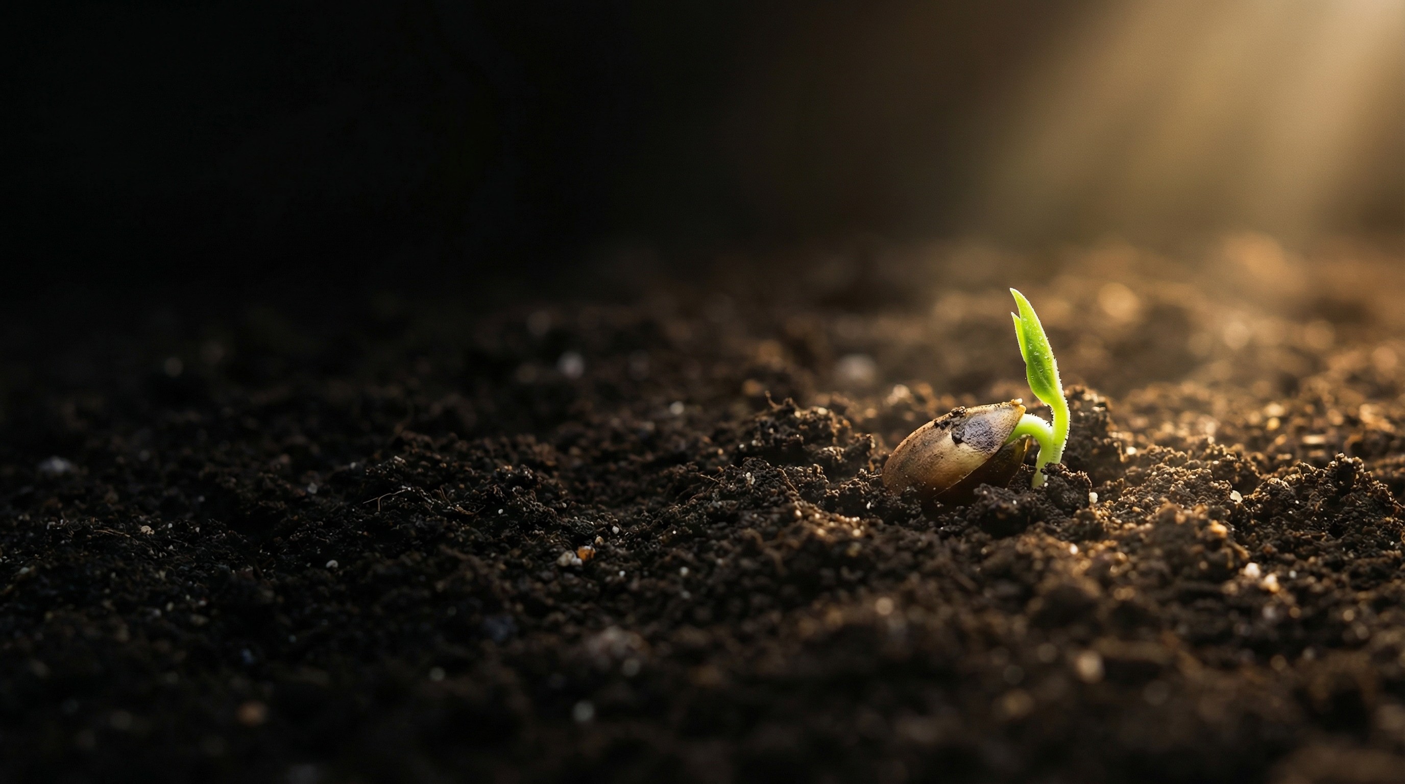 Our marketing team talking with brands