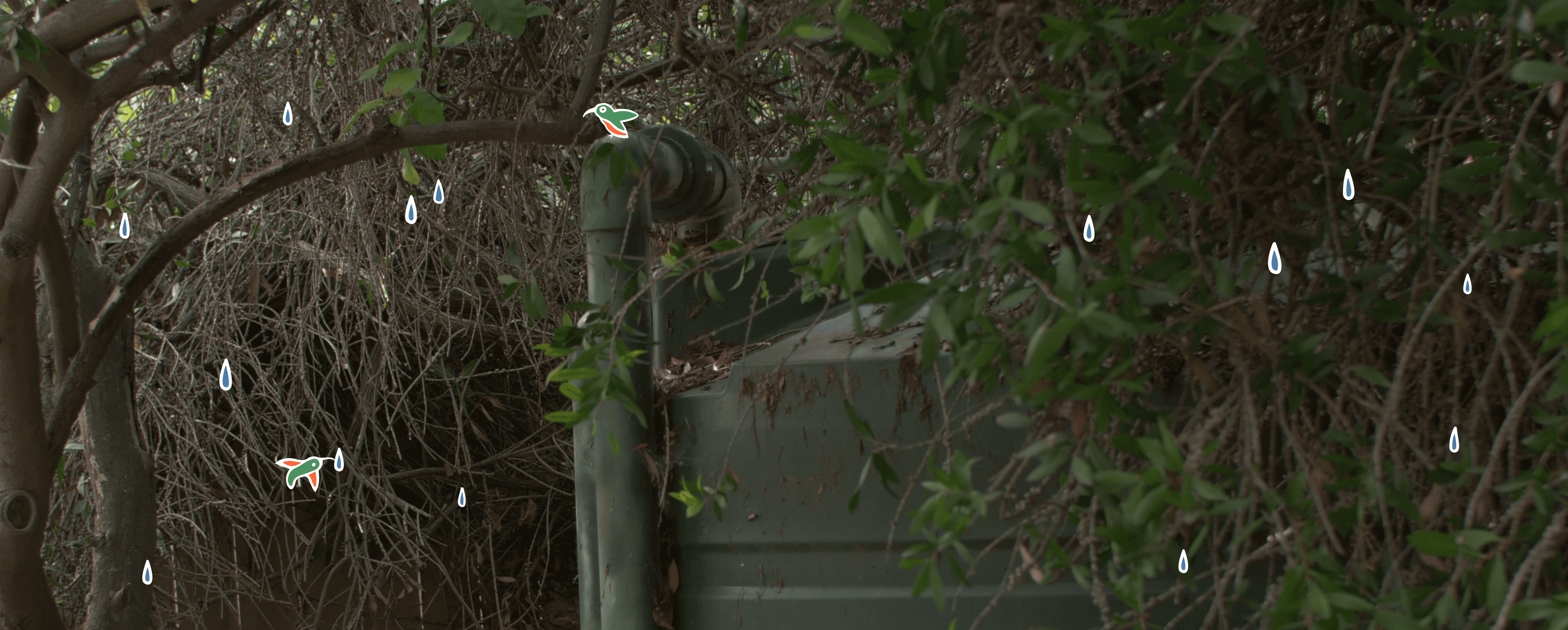 A grassy, tree-lined pedestrian pathway beside a lake overlaid with colorful illustrations of birds, wetland grasses, and two people discussing a petition.