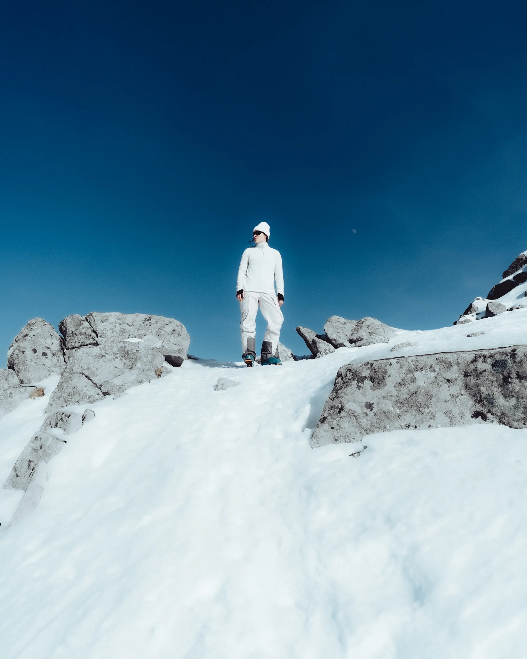 picture of a skier standing in front of the camera.