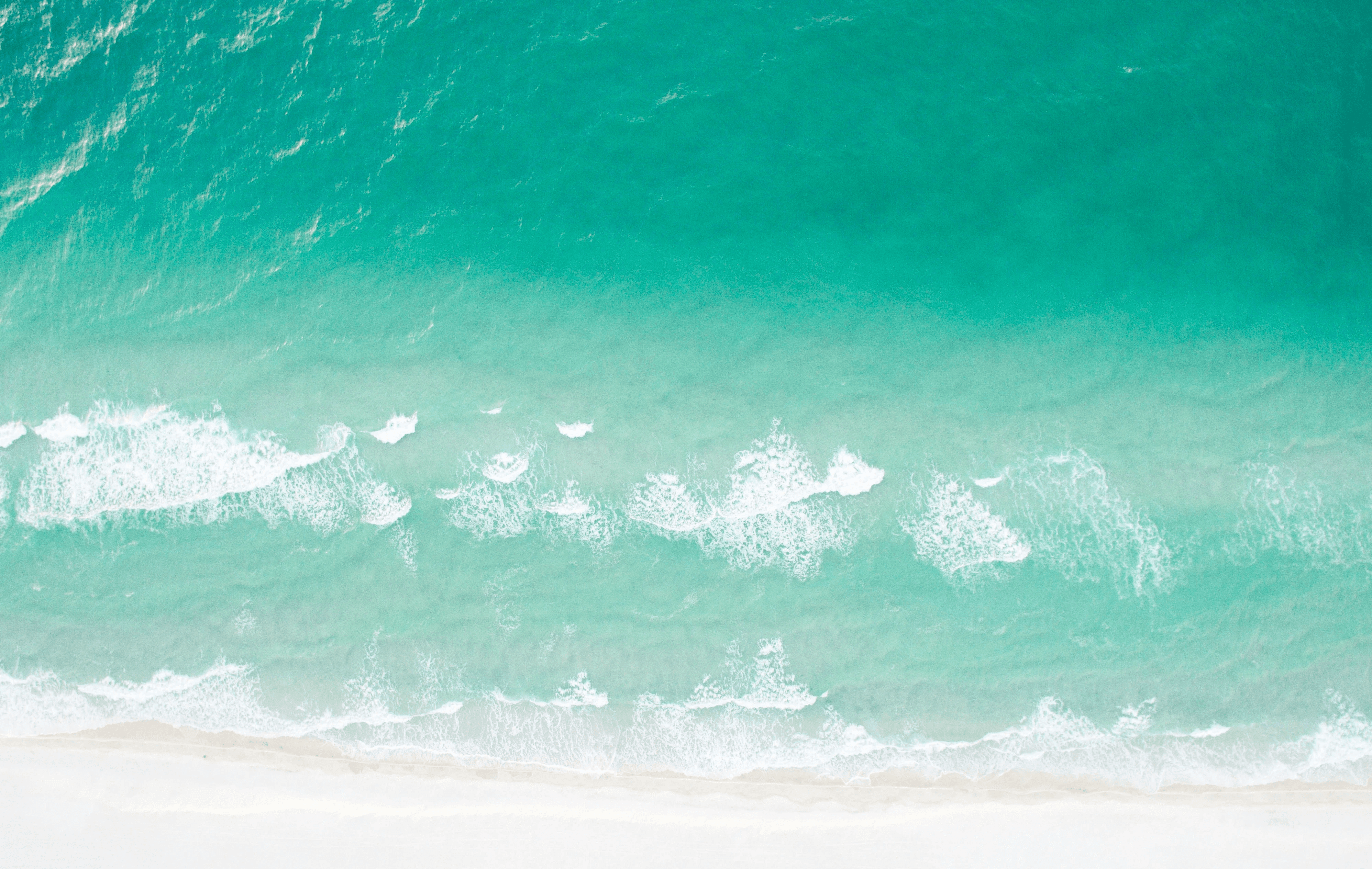 Two men greeting with hand