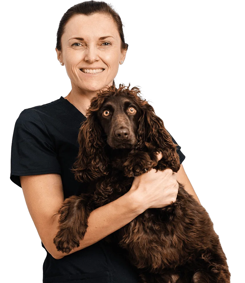 Dr. Paulina Czerska: Veterinary Surgeon