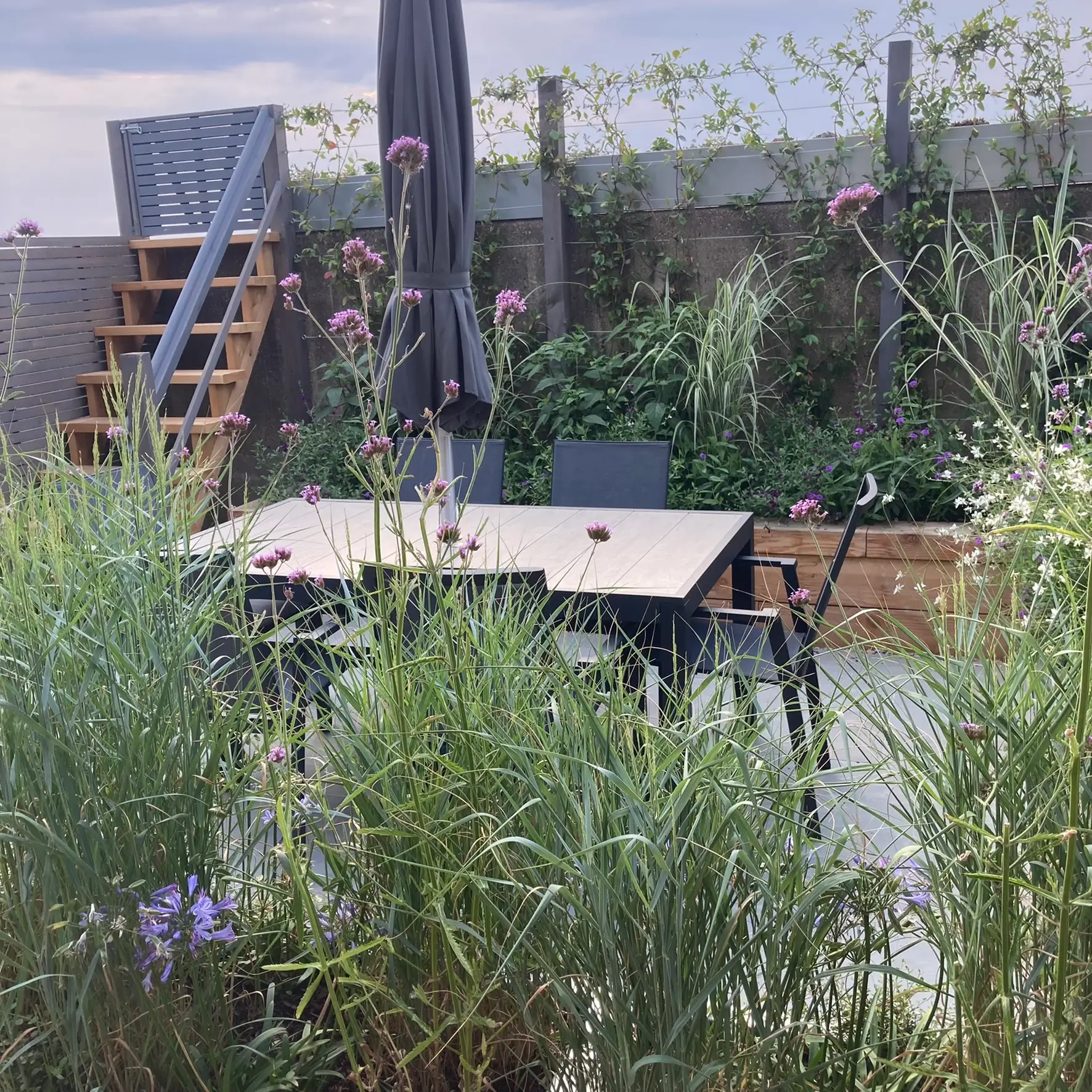 A lush garden with tall grass surrounding a table and chairs, set against a modern building backdrop.