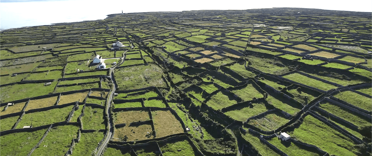 Trockensteinmauern in Irland Foto von Andreas Leitner