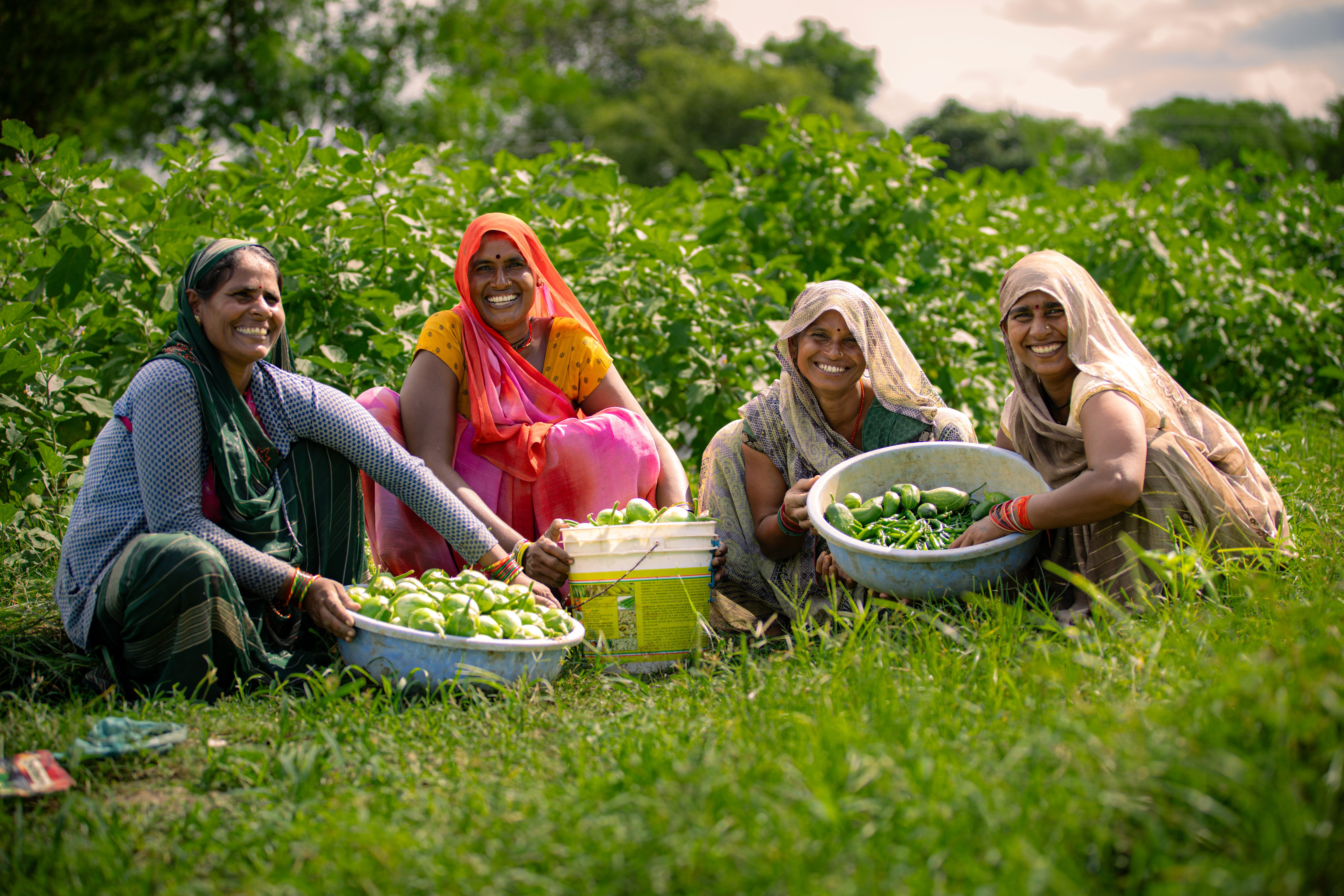 Animated scene showing women in a village discussing livelihood opportunities and government work programmes.