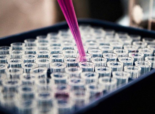 Pharmaceutical / Biotechnology