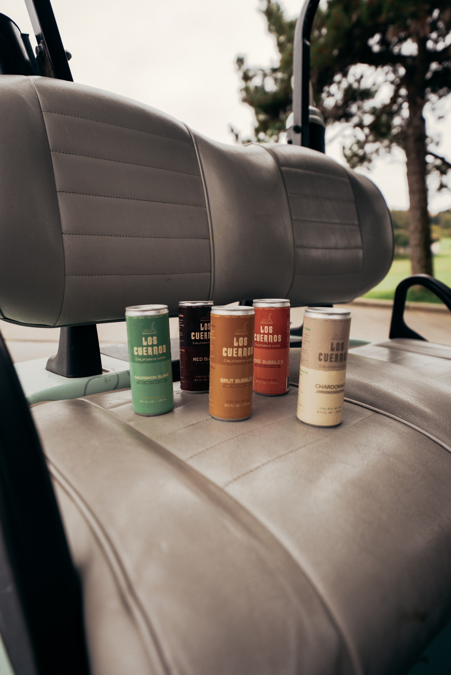 Different flavored canned wine placed on top of a golf cart seat