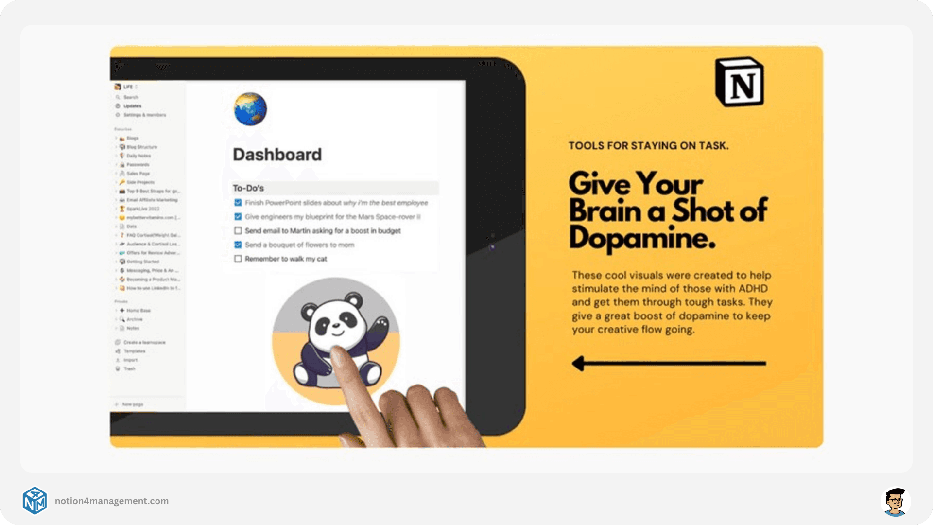 Notion dancing panda Widget