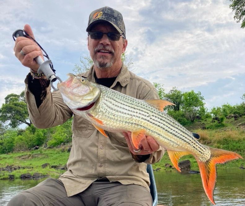 Tiger Fishing Zambezi River