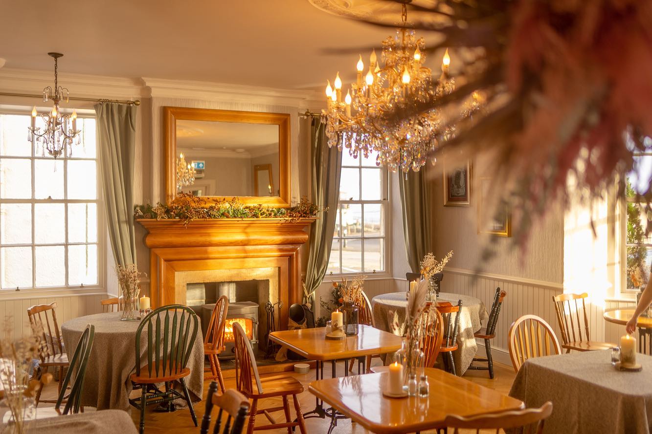 brown starfish on blue sand