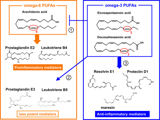 Omega 3 fatty acid image