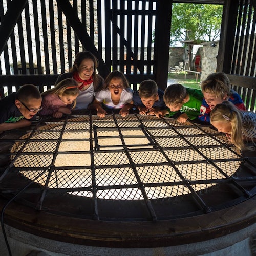 一群孩子和一位成年人正在木制围栏中凝视一个大型发光的圆形网状结构。