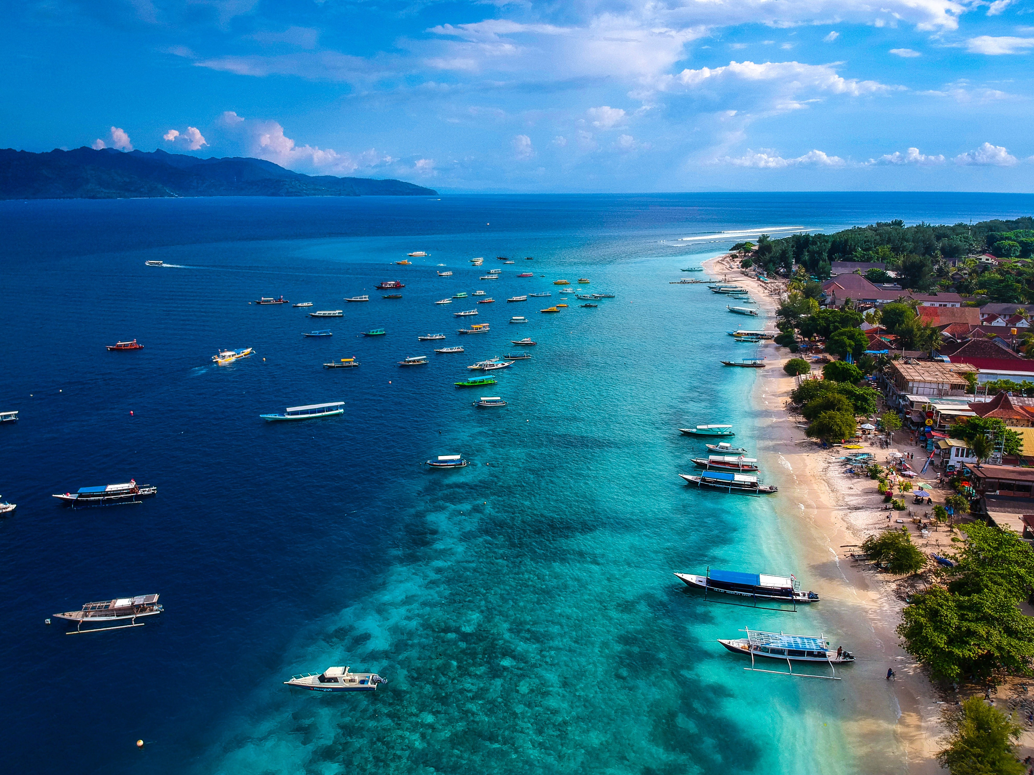 Bali & Komodo park