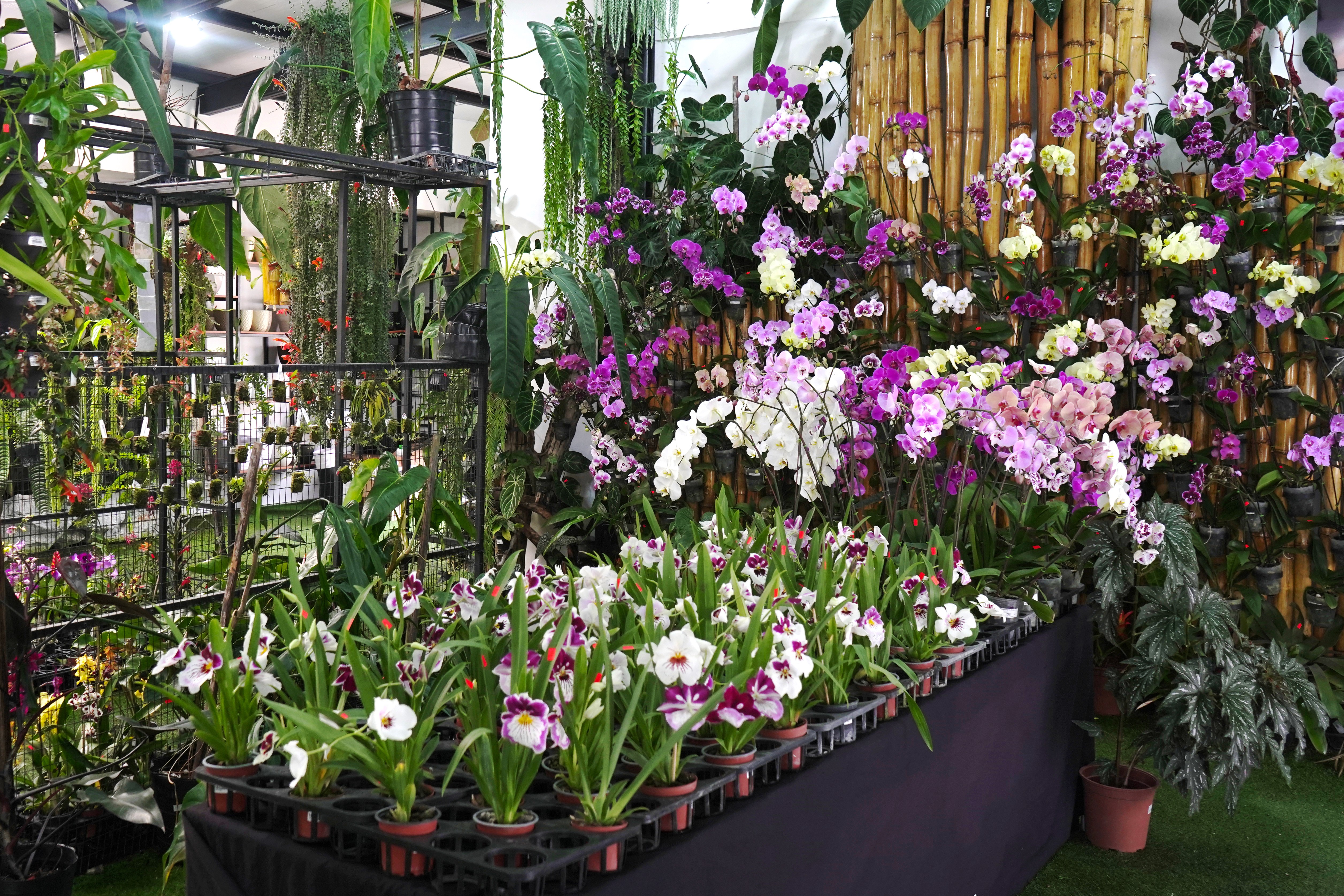 Featured Project Cover Image