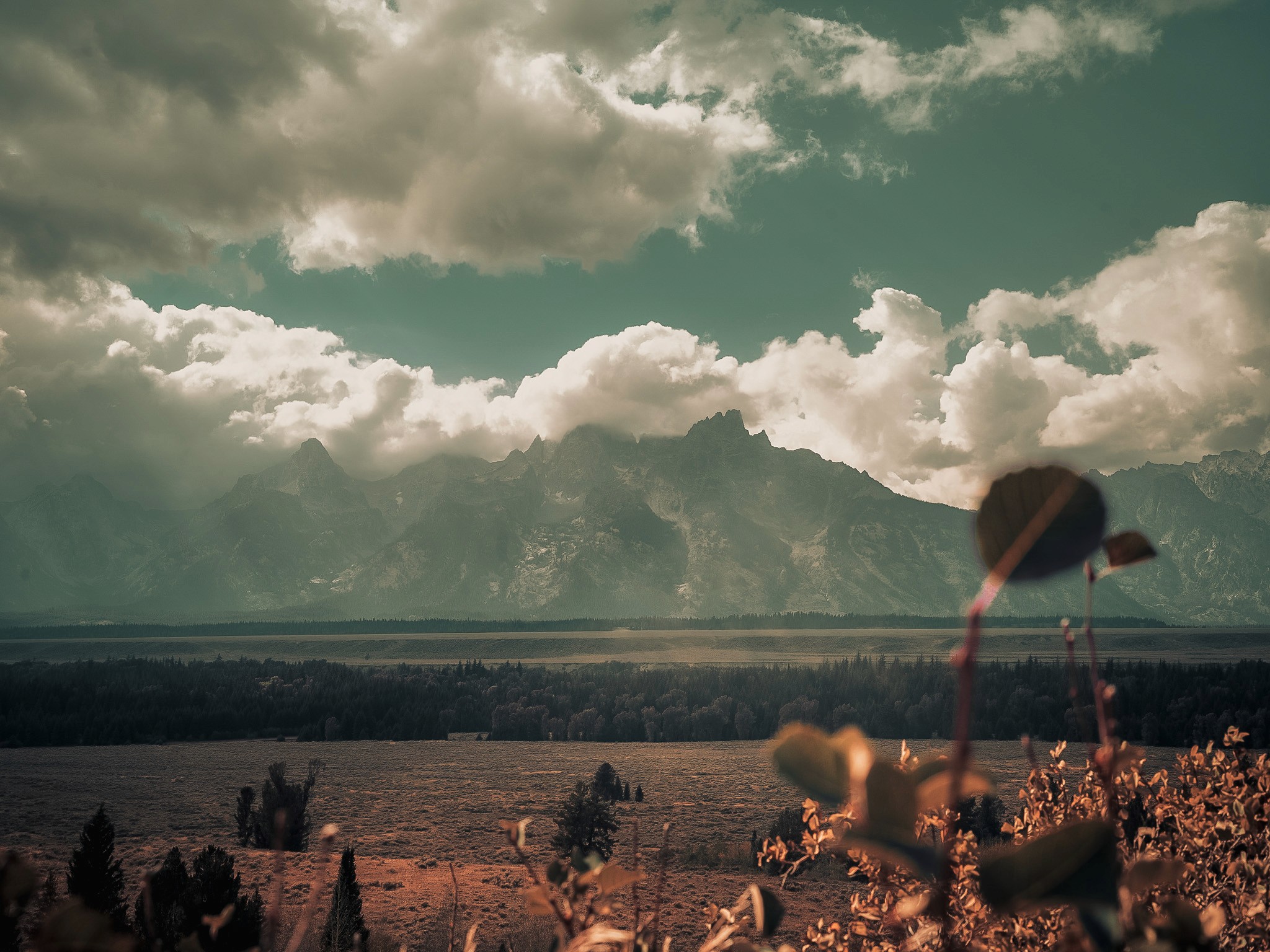 Mountains