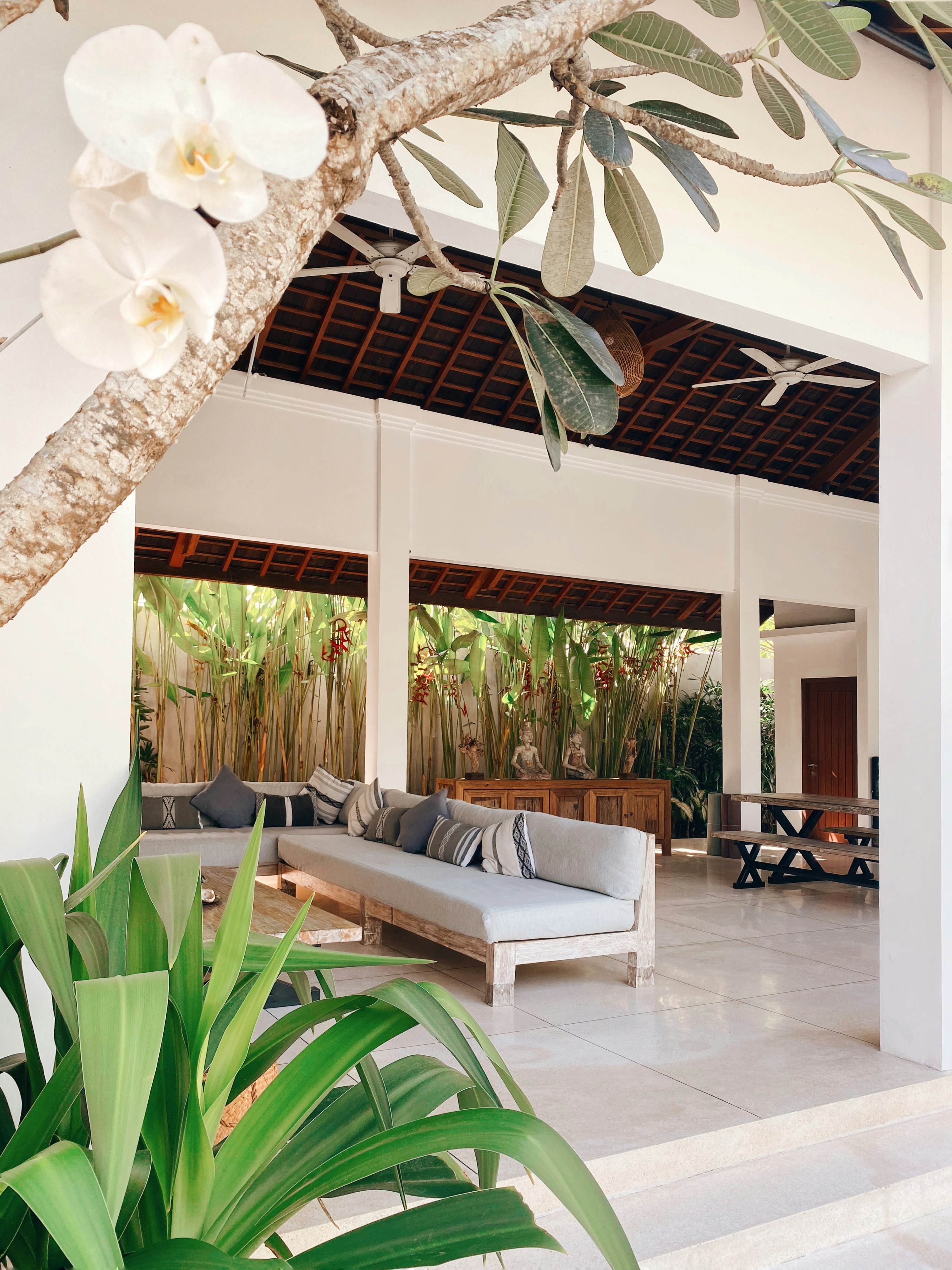 catergory-backgrounds