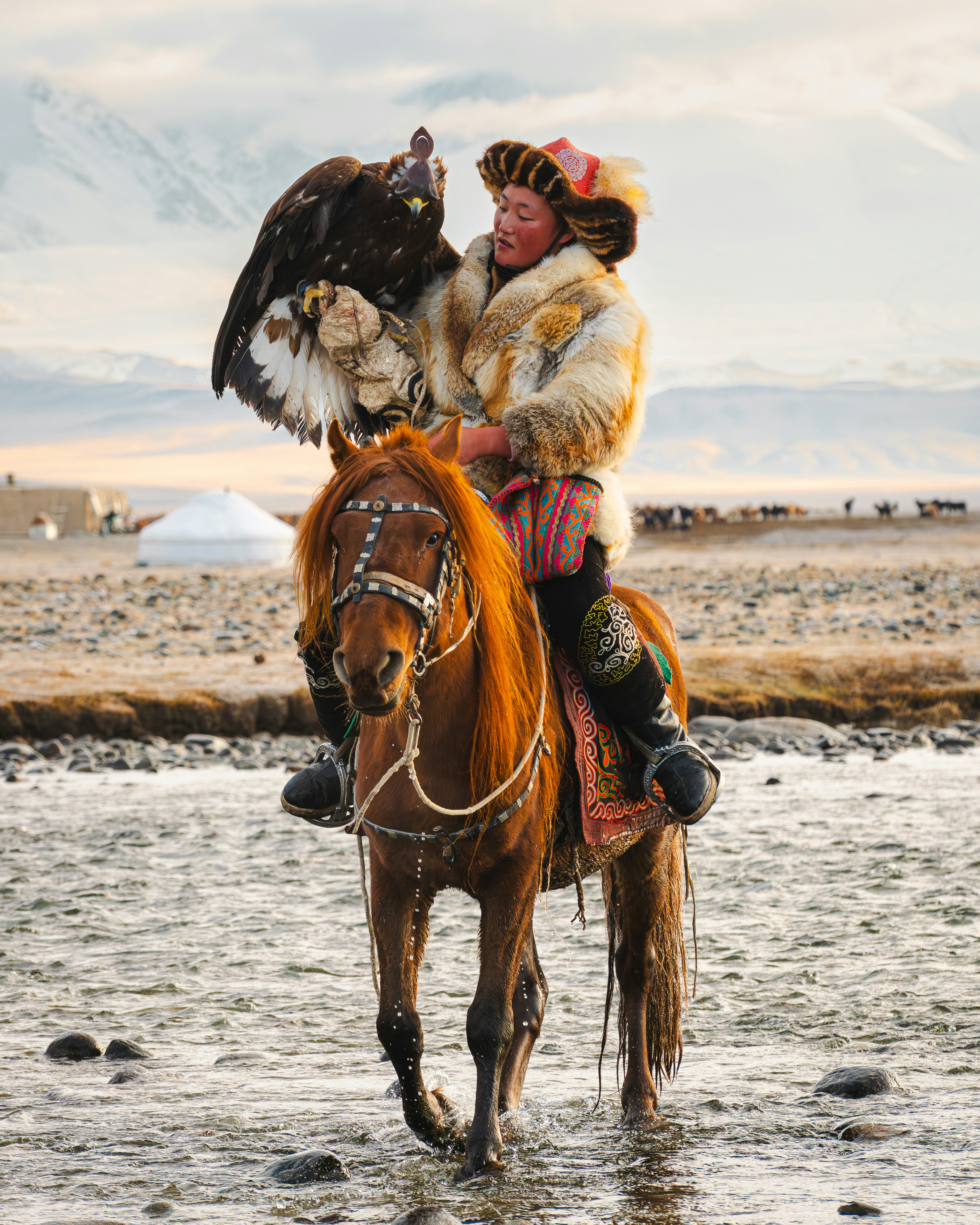 A mongolian horseman rides with an eagle.