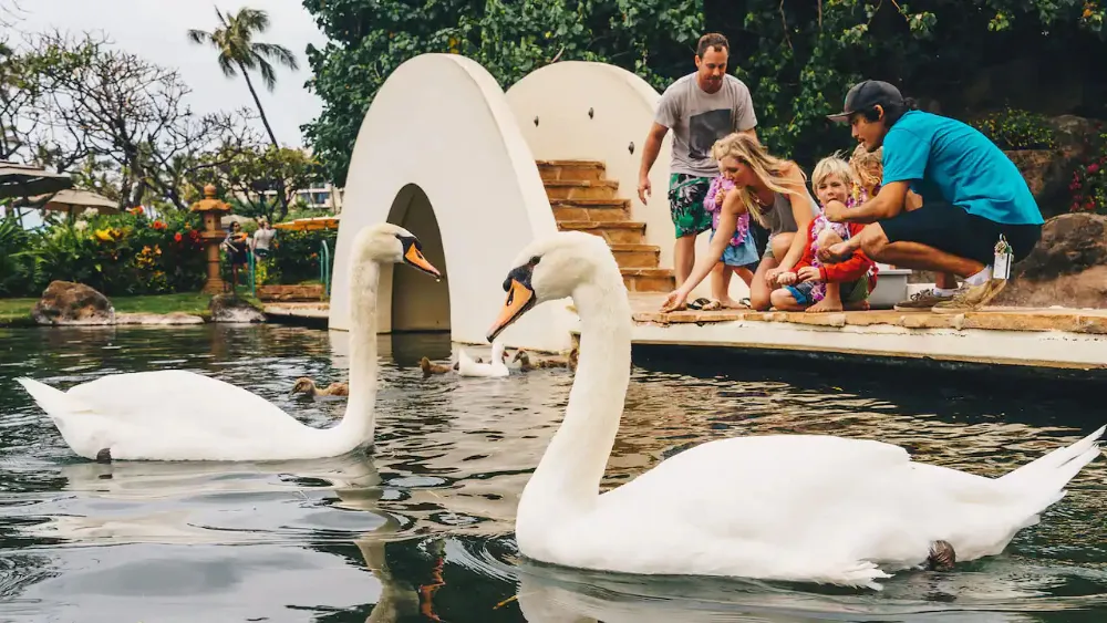 Multi-generational Family Travel in Hawaii