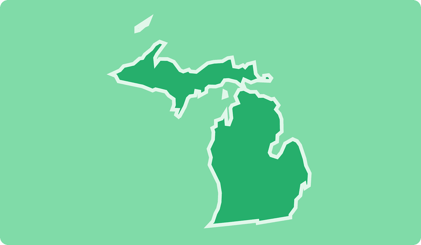 Michigan EBT Balance Check