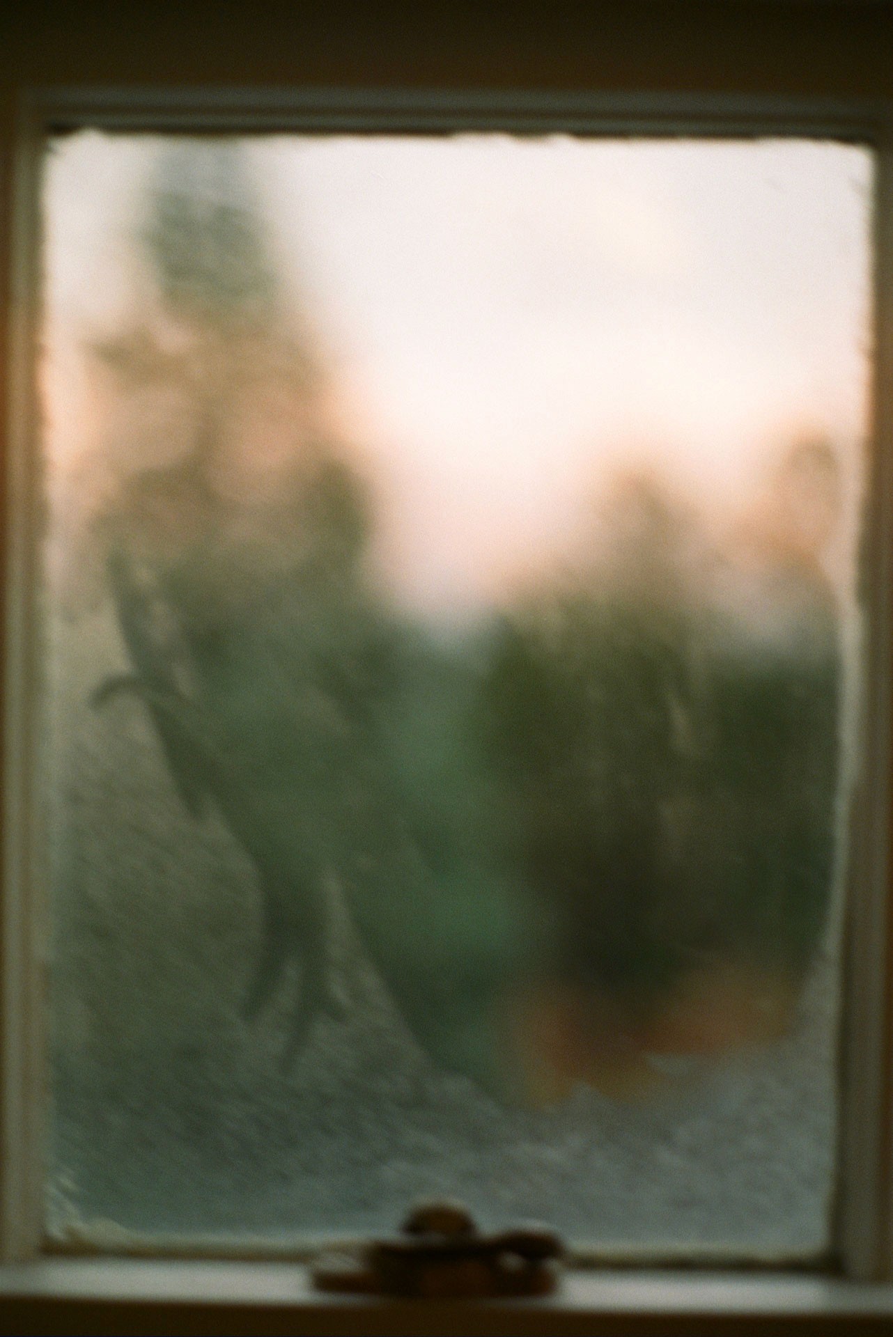 Untitled 4, 2021, 35mm color photograph