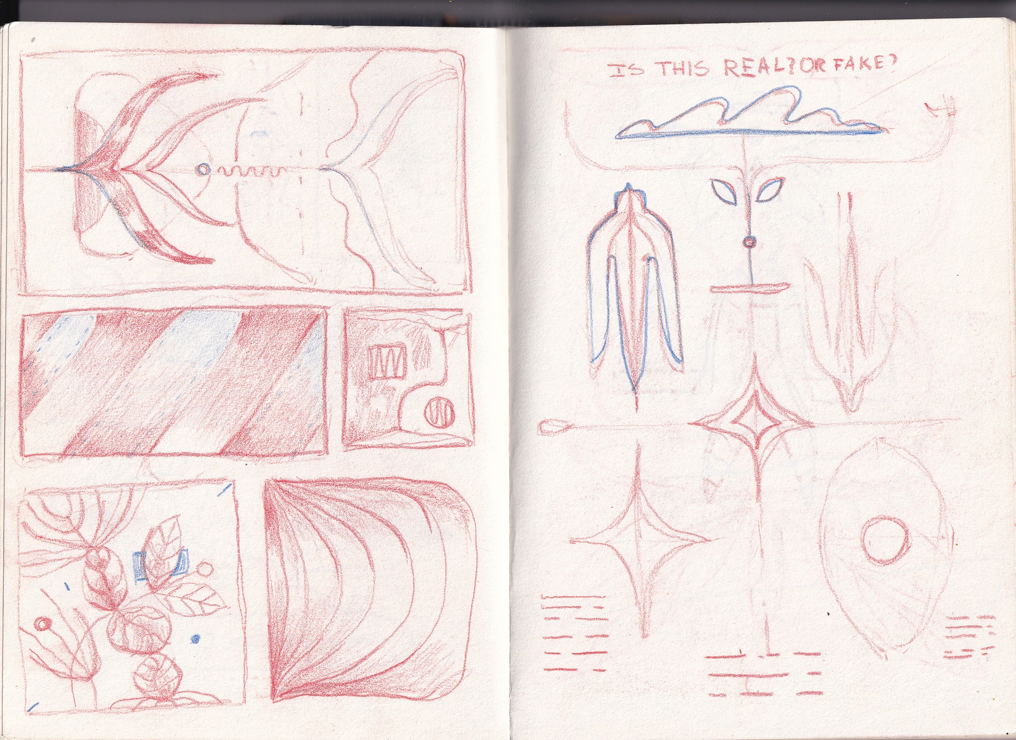 Image 24
