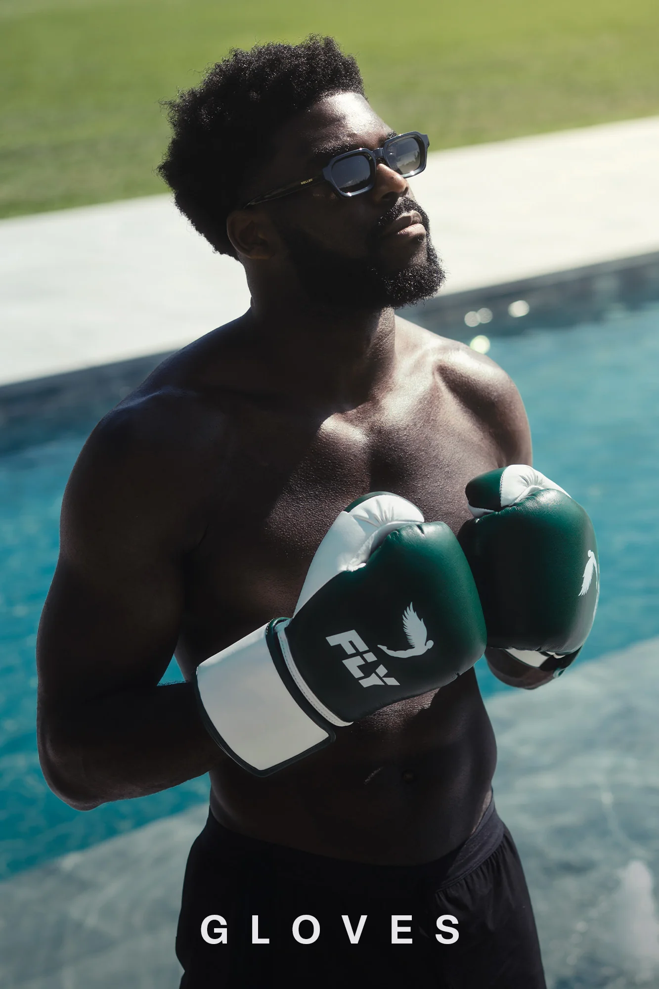 FLY Sports boxing gloves
