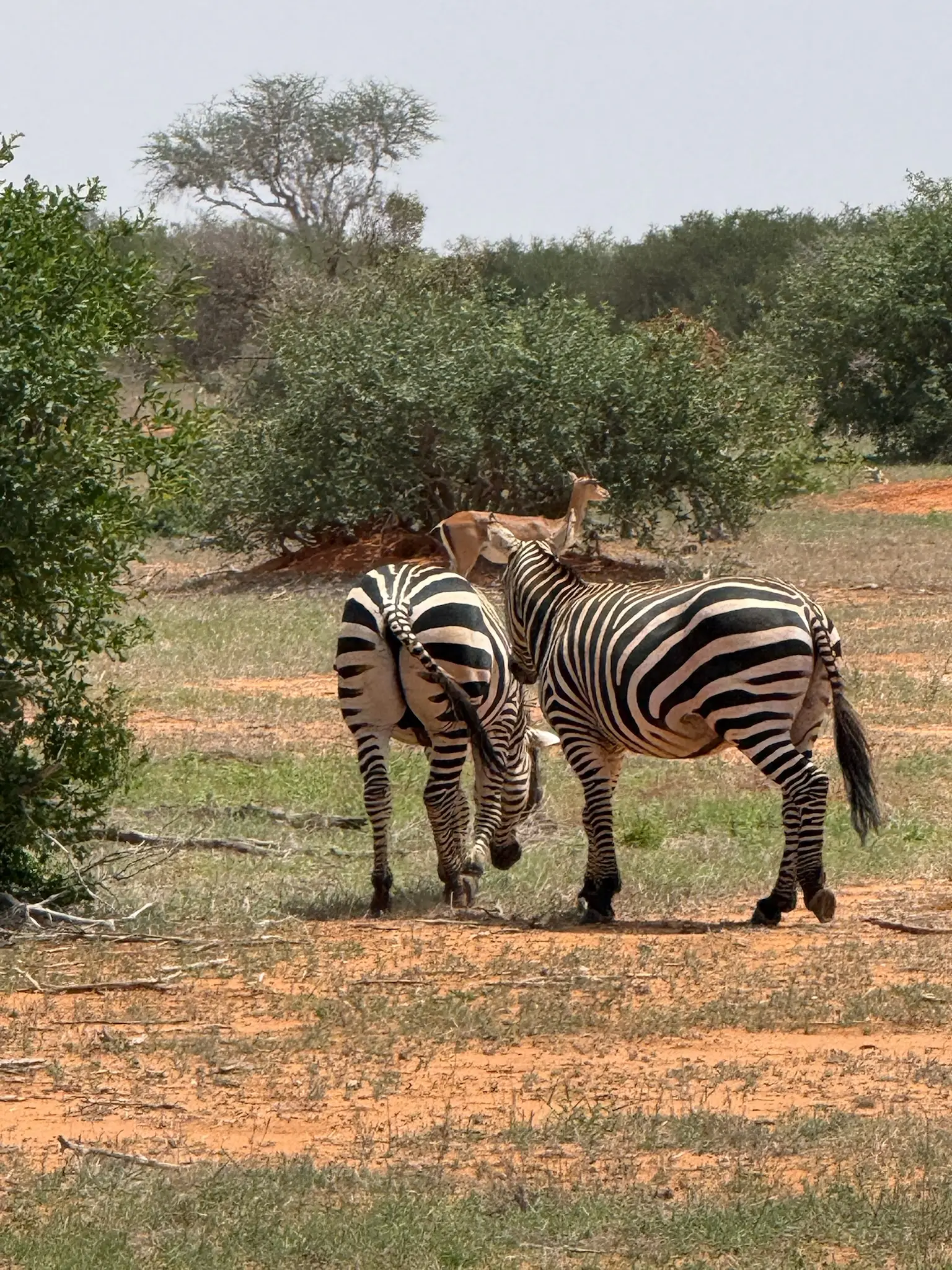 Usahili Tour in Kenya