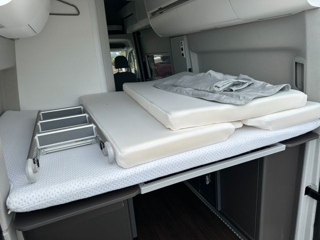 VW ANDERE 2021 BEIGE Gebrauchtwagen - Galeriebild 11