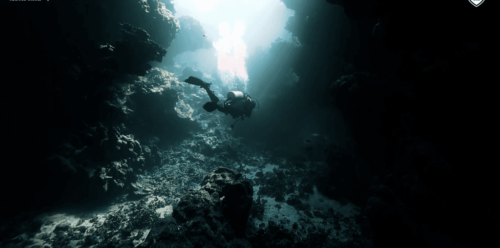 نادي الاهلي