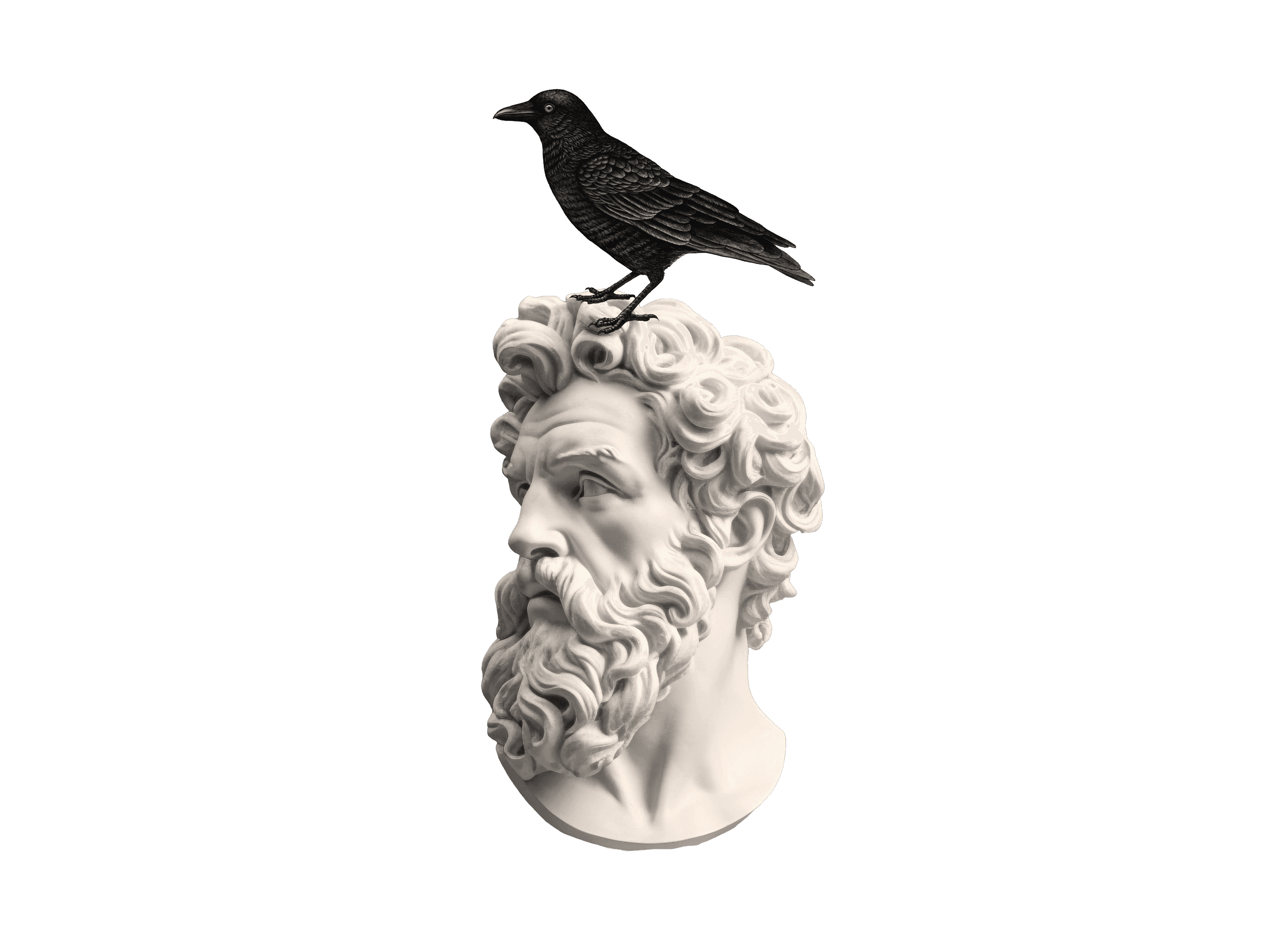 Dumplings and carrots arranged with cilantro on black