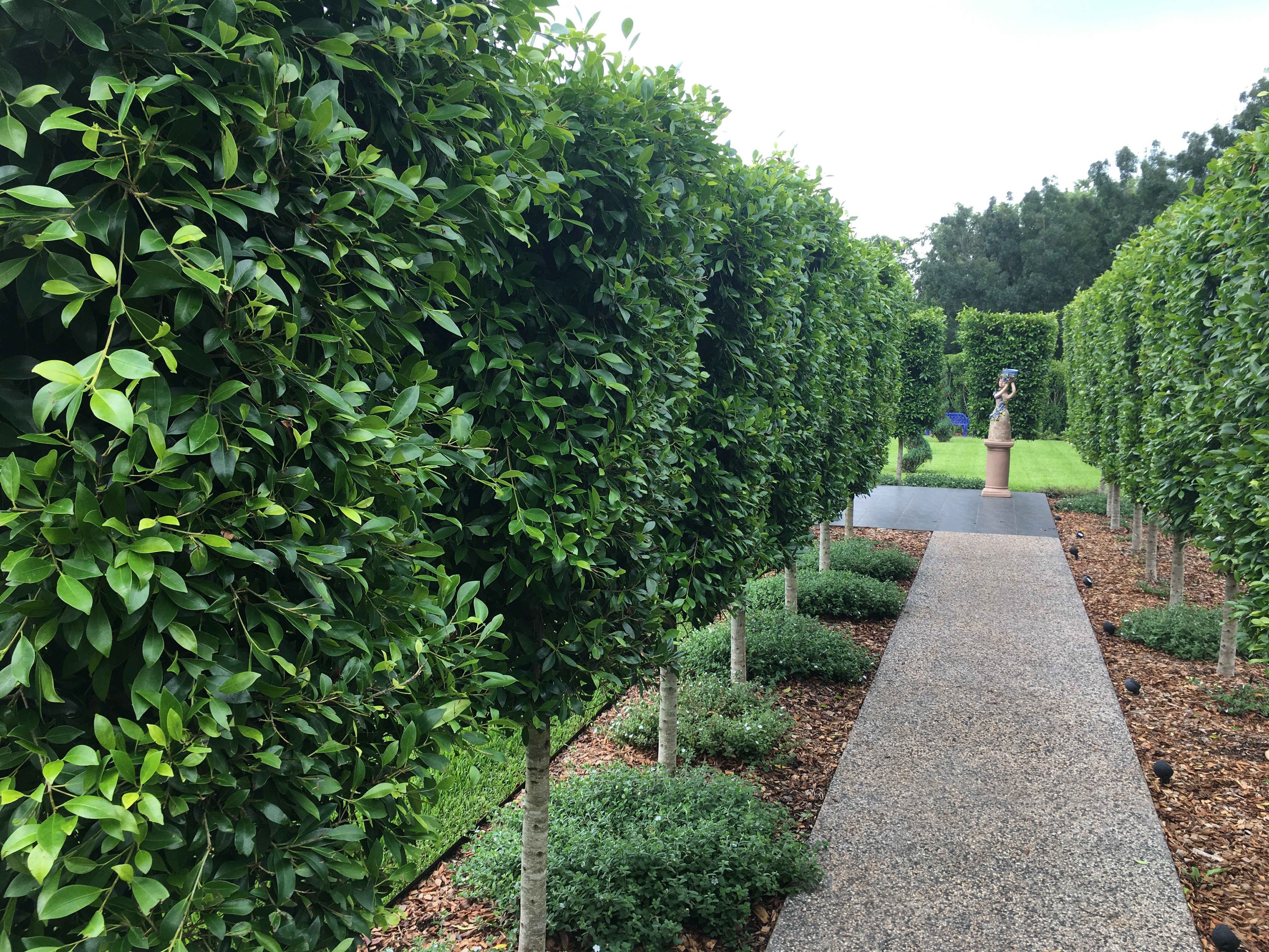 fomal garden clark+granger