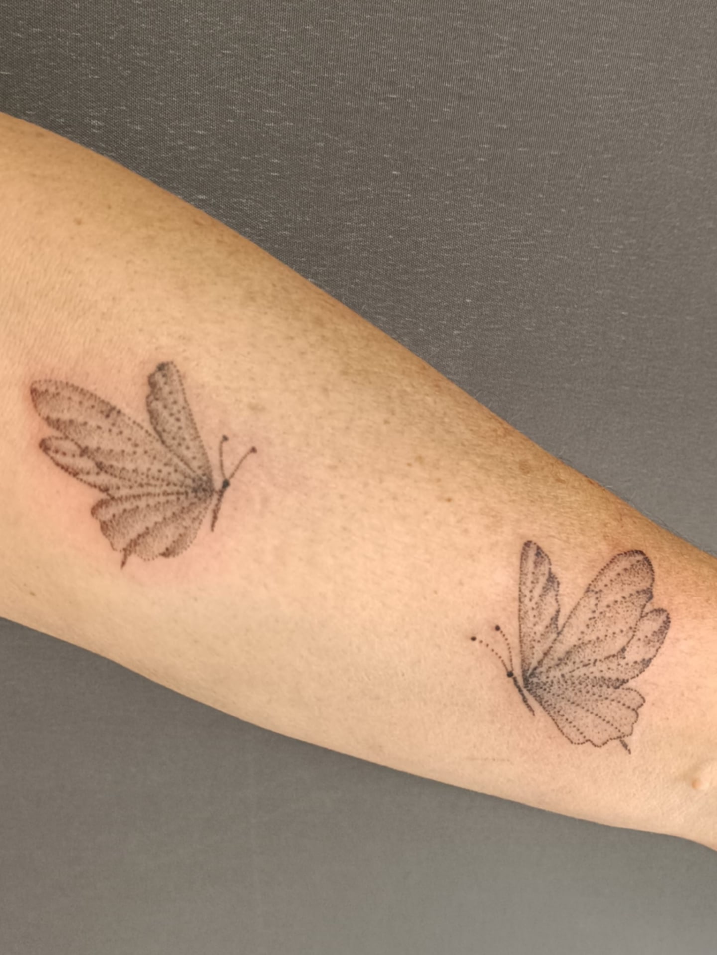 tatouage avant bras deux papillions
