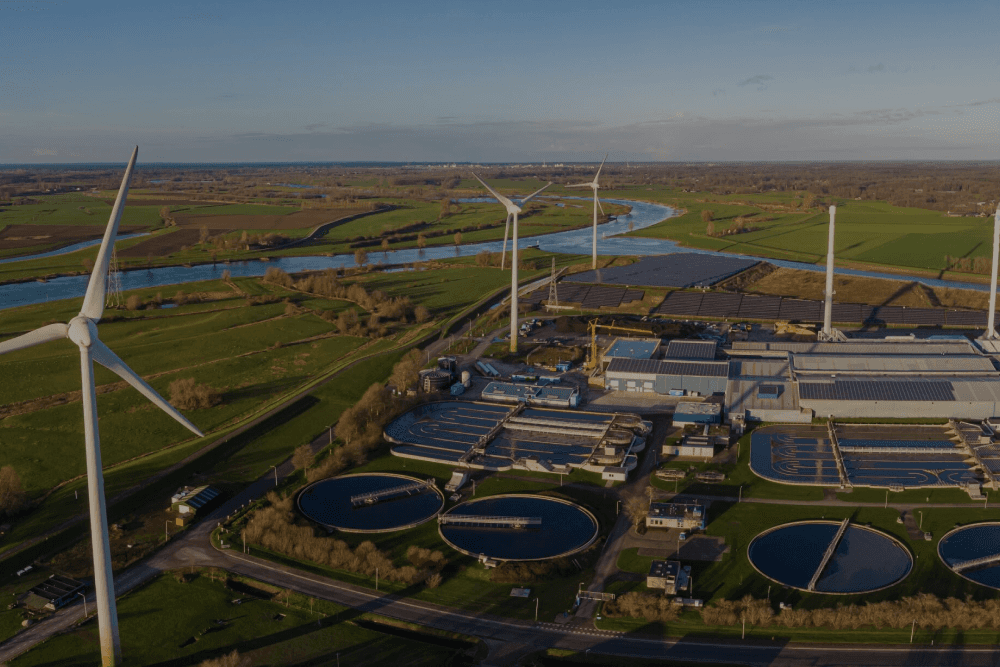 The image featured at the top of the about us page #1