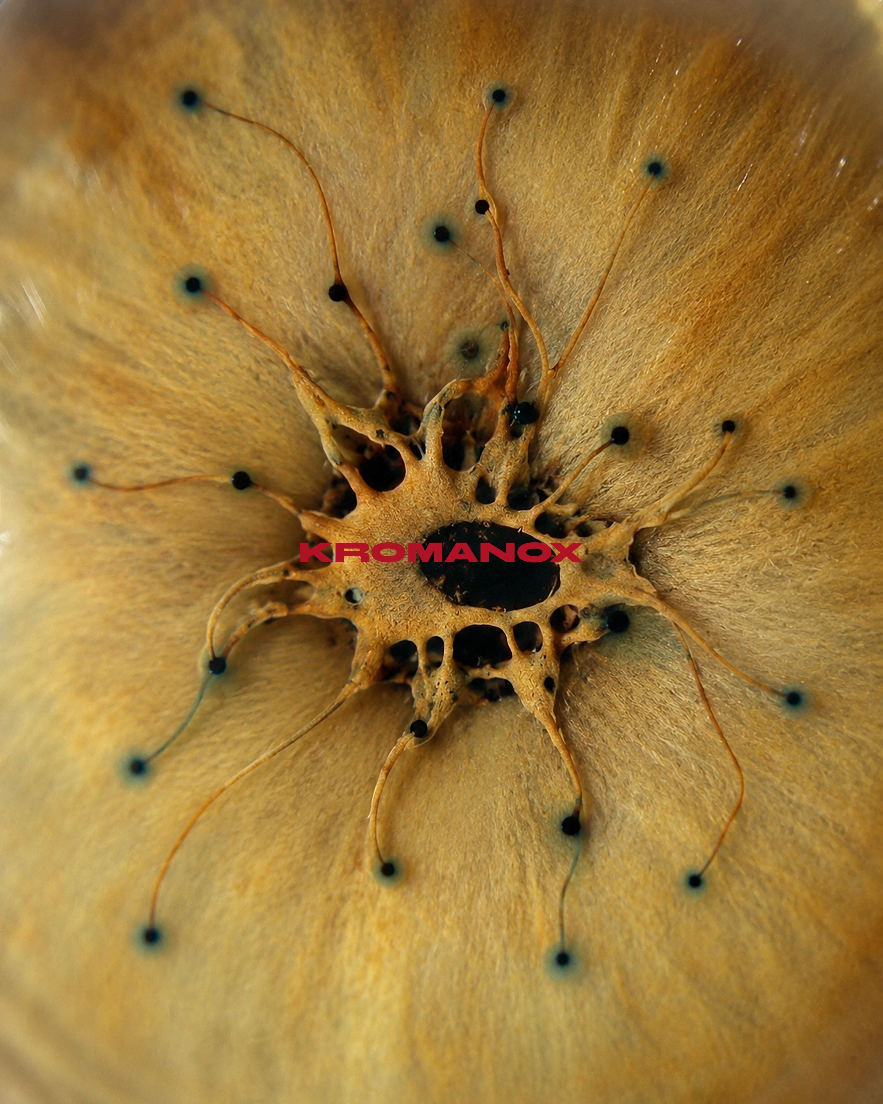 mutated core