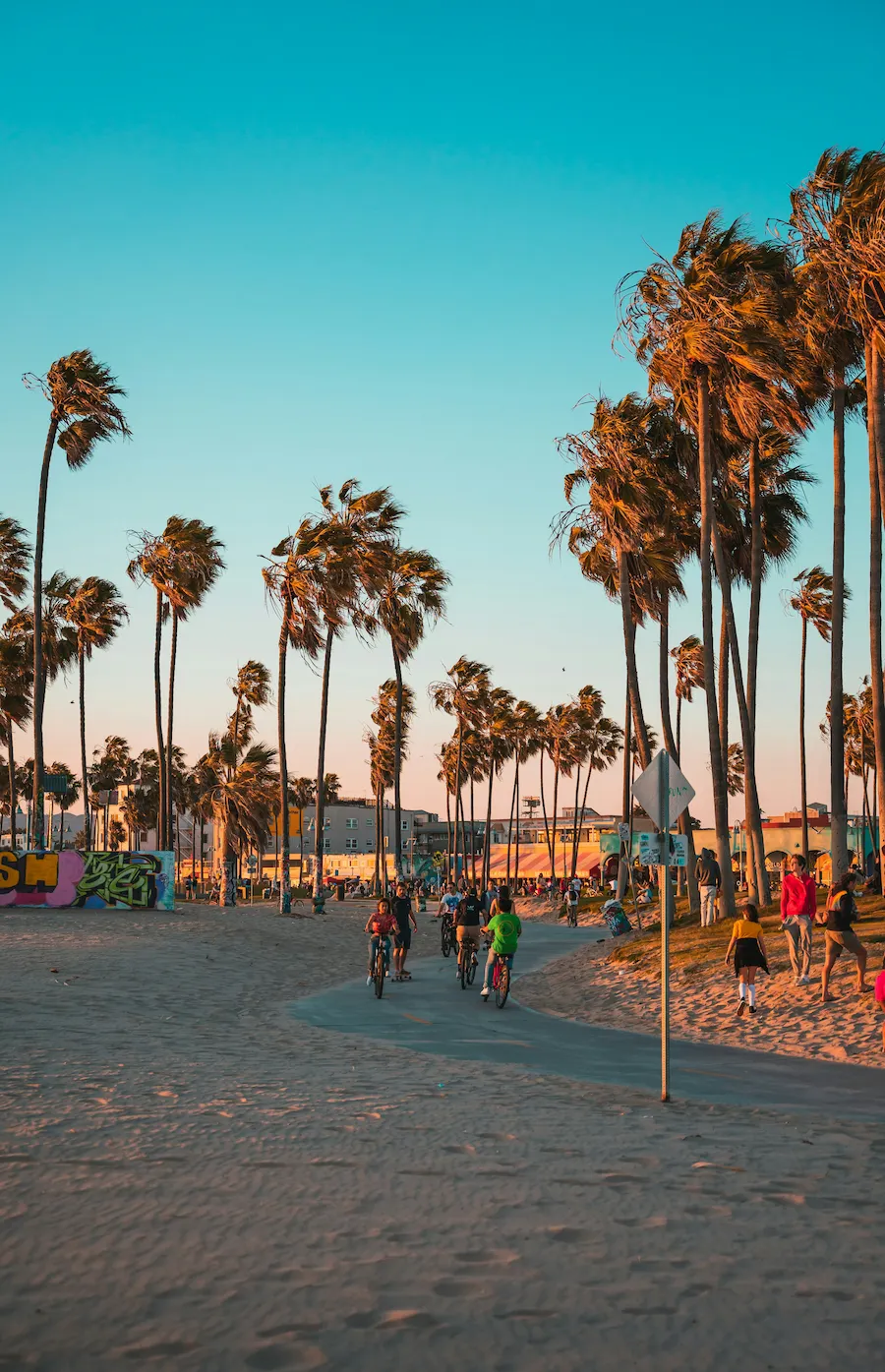 Venice Beach boardwalk in Los Angeles with cyclists and palm trees under a clear blue sky.
