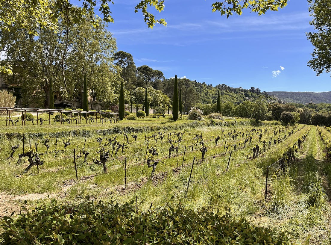Wine estates - Villa Mauricette