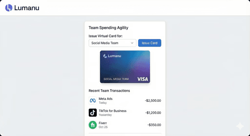 Lumanu virtual card security