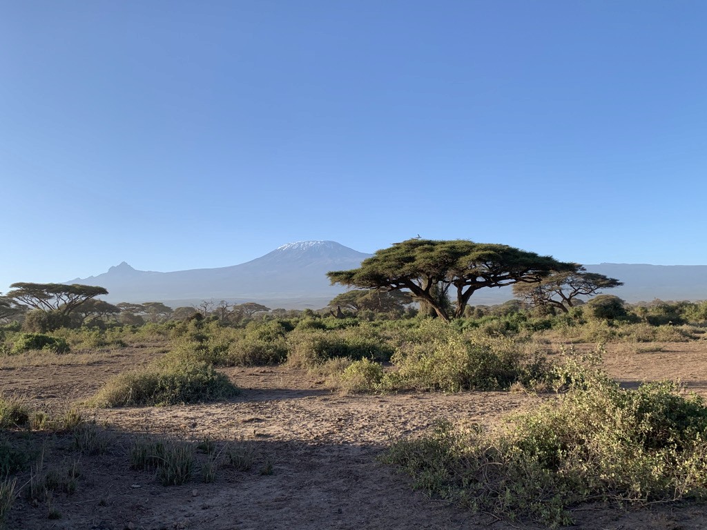 Amboseli during the Shoulder Season