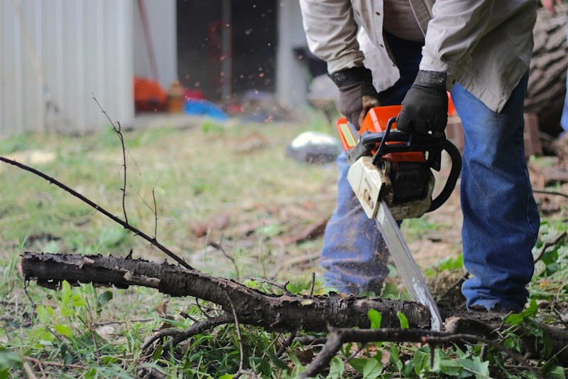 Brush removal work