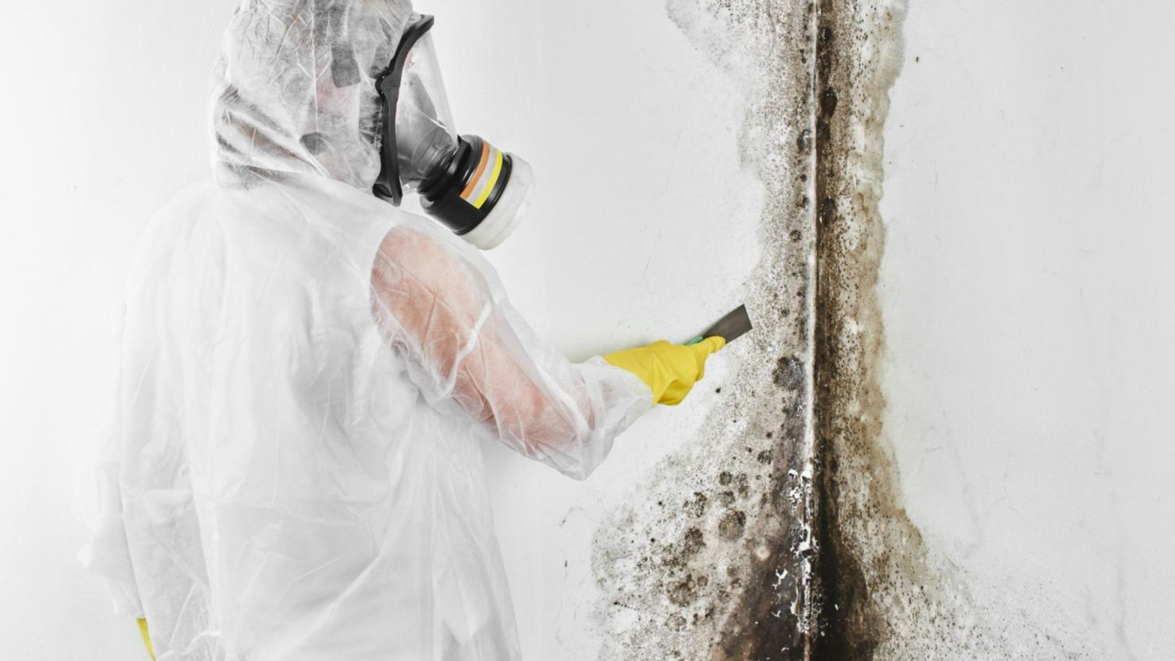 Say Goodbye to Mold: Expert Tips for Marysville Residents!