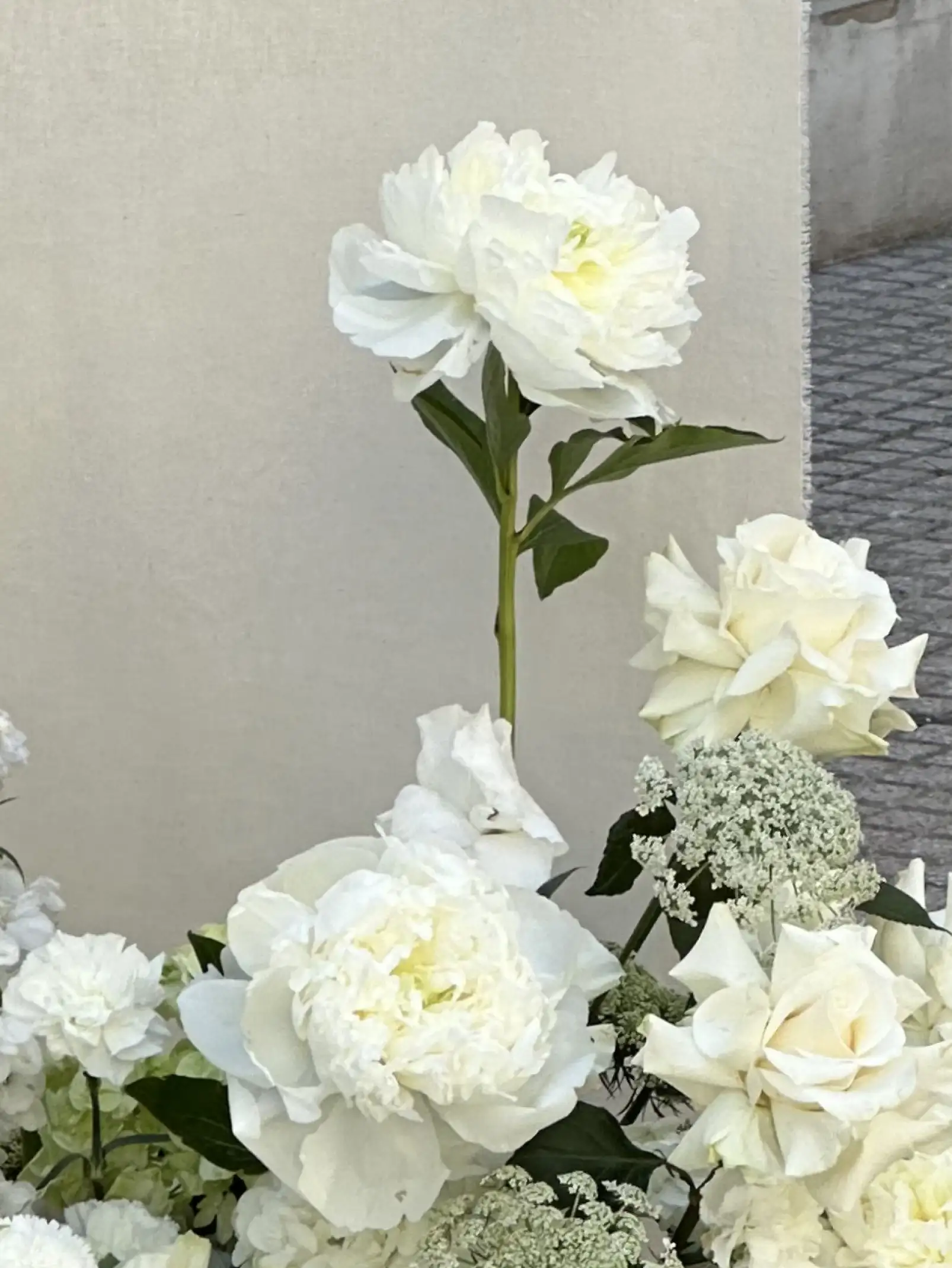 Detalle de peonías y rosas blancas en composición floral elegante para evento de lujo, transmitiendo pureza y sofisticación.