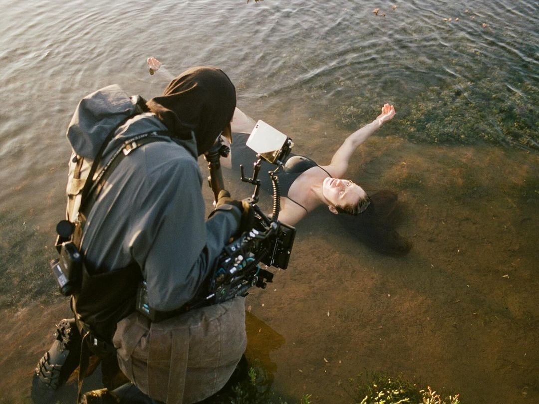 A green butterfly rests on a flower.