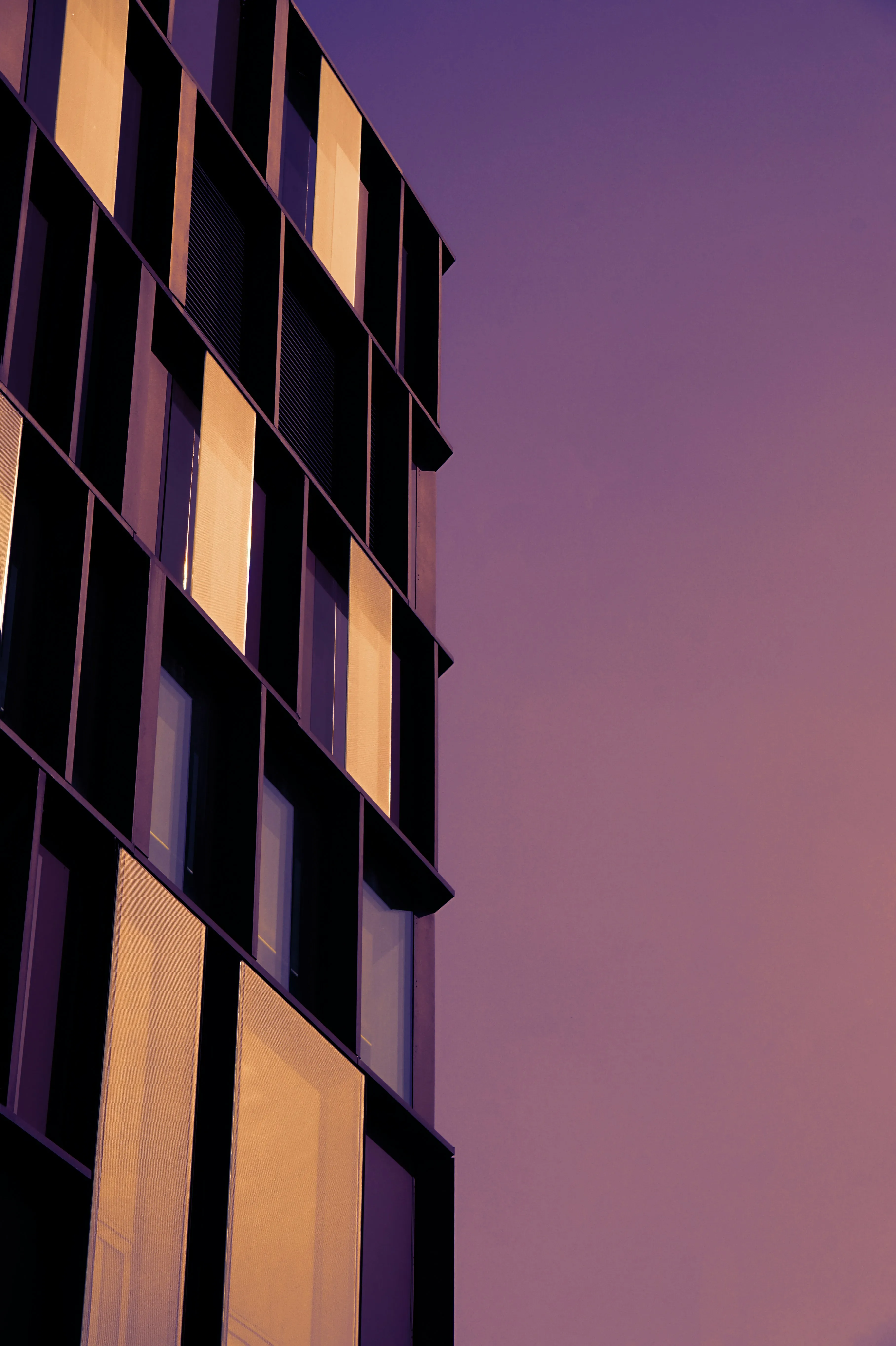 Building with a purple sky
