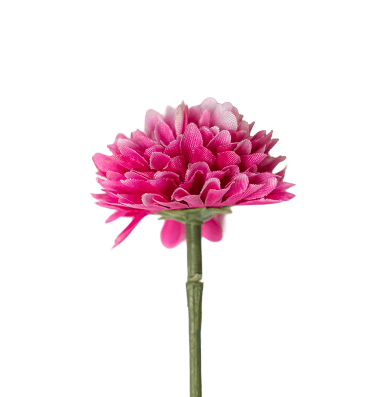 Pinkki kukka 1