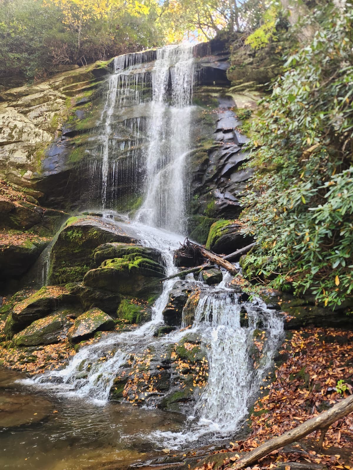 woman walking on pathway during daytime