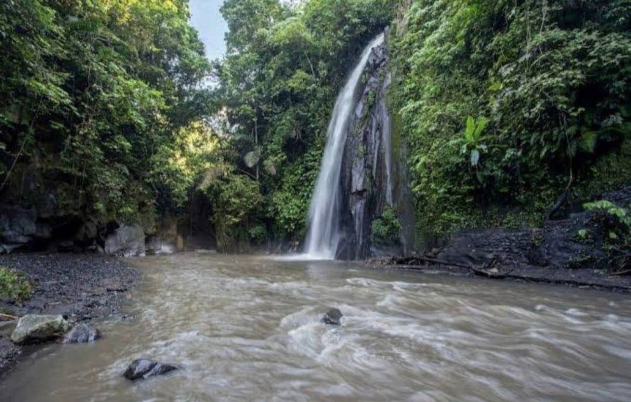 Land plot 4,000 m² in Buahan, Ubud area, Leasehold