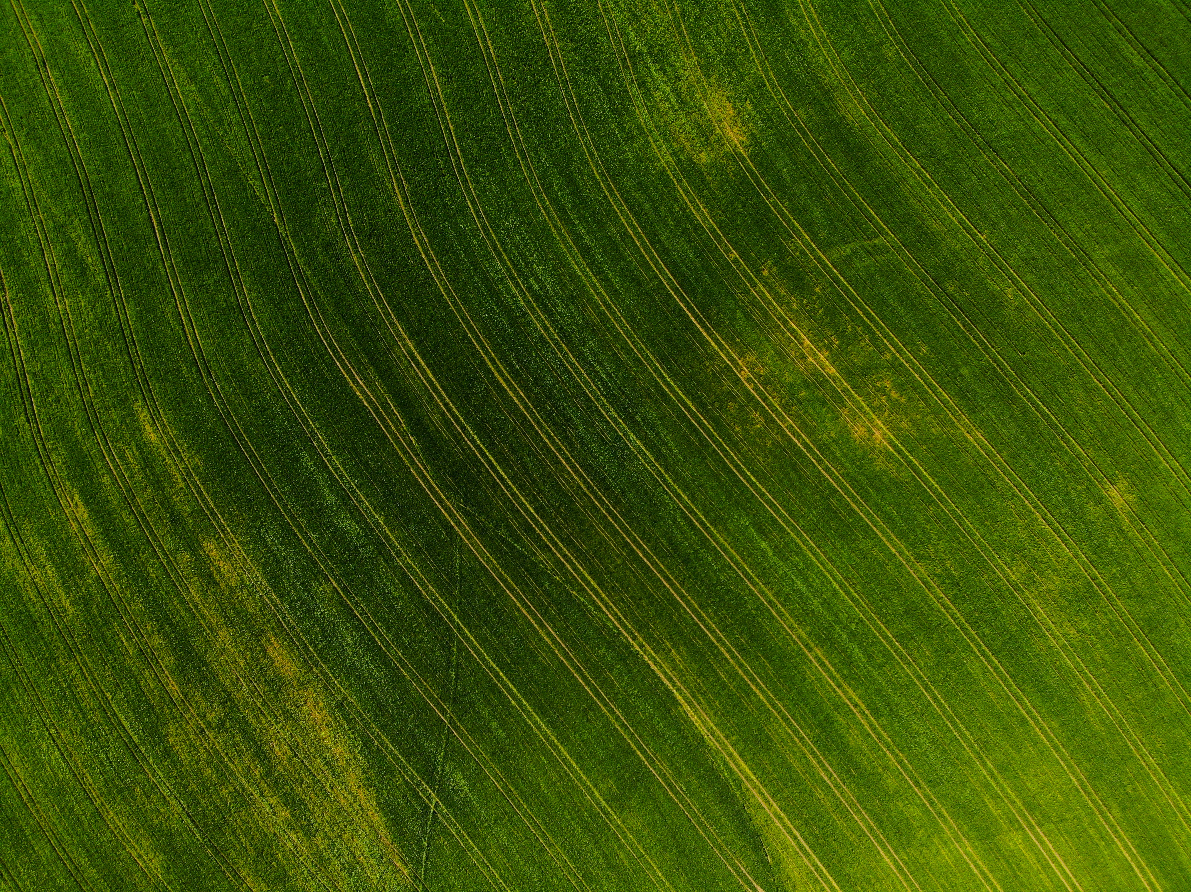 an aerial view of a green field
