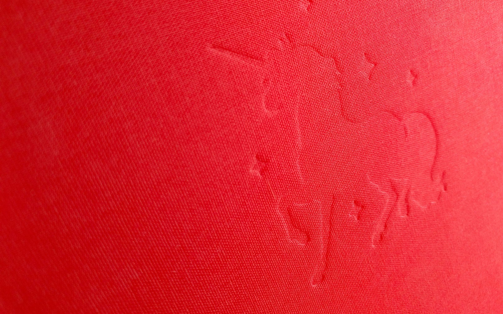 Project Gallery Image for 50% width of the screen #2