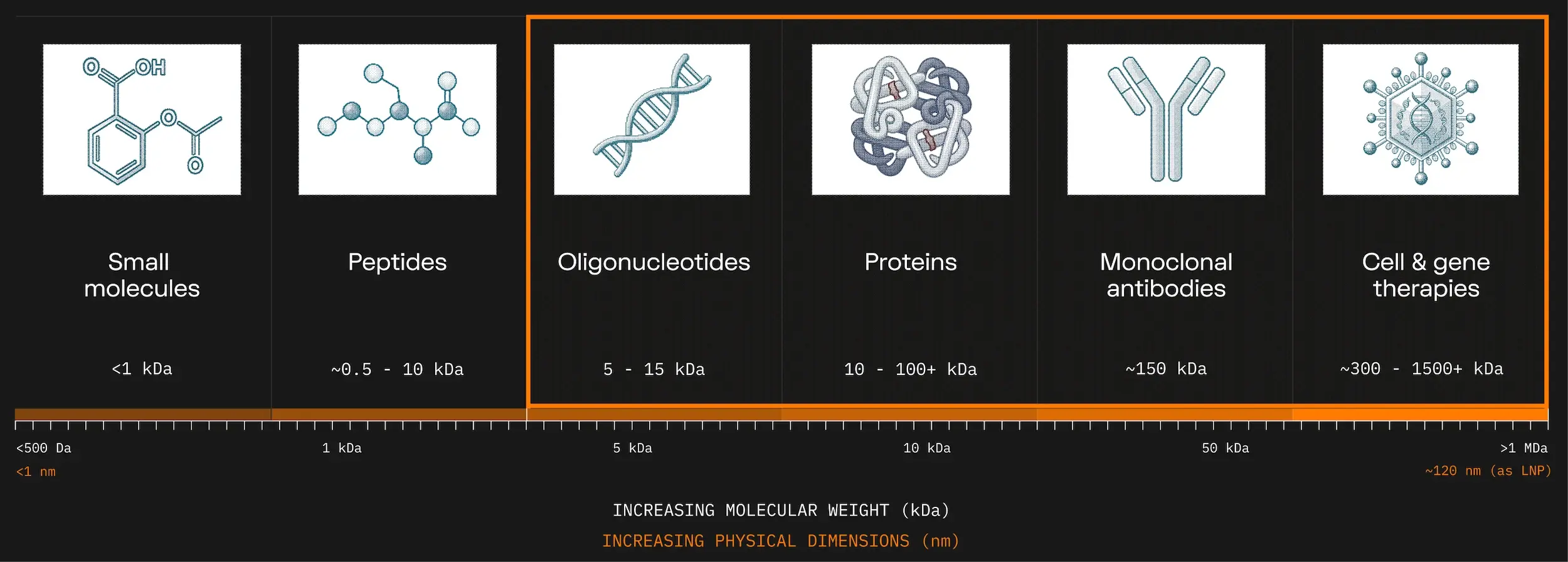 Diagram of six molecules progressively increasing in size from <1 kDa to 1500+ kDa