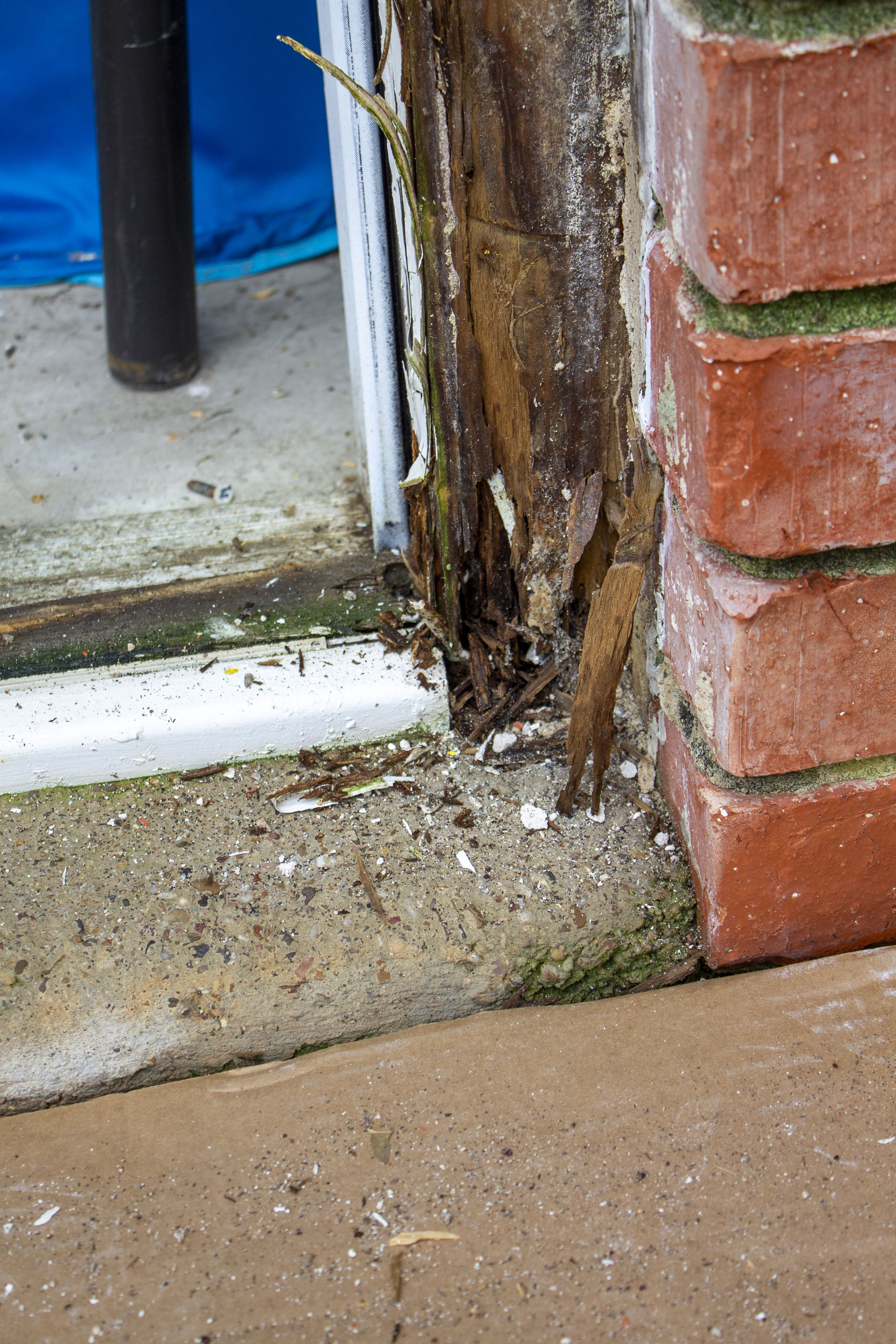 water rot on a door frame